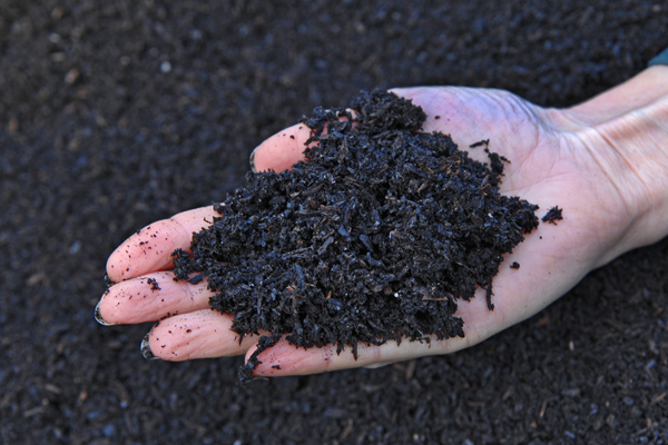 Biochar mixed with compost makes a rich soil amendment beneficial for your garden.
