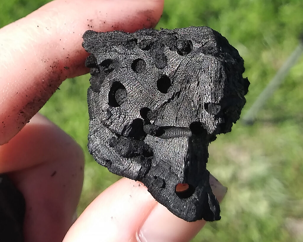 Biomass to Biochar: Maximizing the Carbon Value