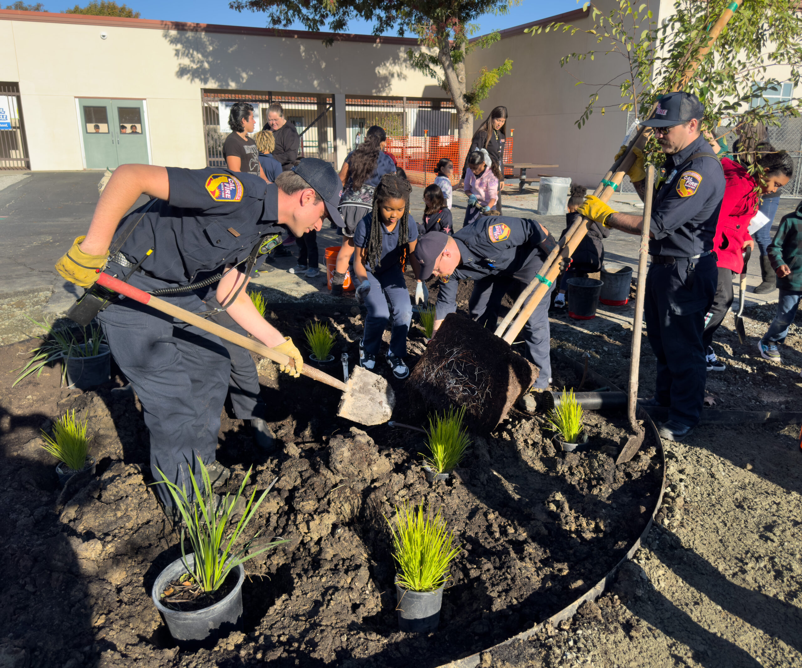 CAL FIRE staff assists scholars at Stoneman Elementary on school Planting Day.