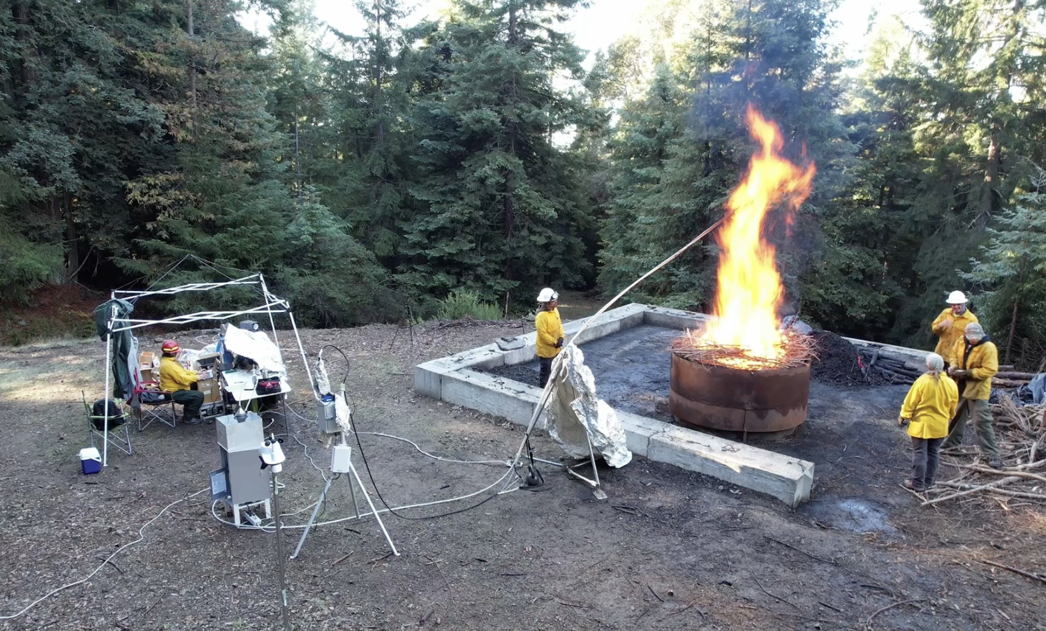 Emissions Testing in the Usal Forest